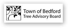 Town of Bedford Logo